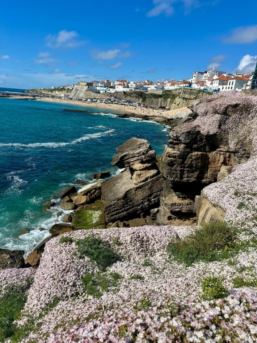 Bluceira 2025-05-19 at 15.19.45[18]