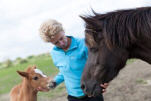 Paula rose horses
