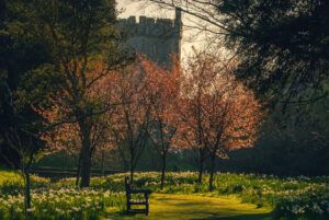 Copy of Arundel Castle April 2023 (40)