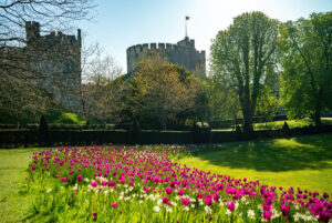 Copy of Arundel Castle April 2023 (70)