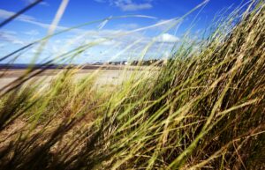 RhylBeach1